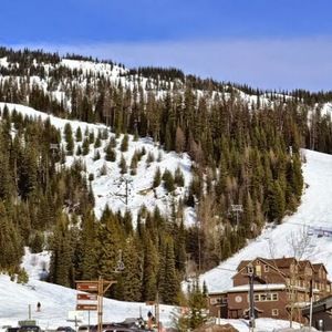 Meet your Posher, Sharon